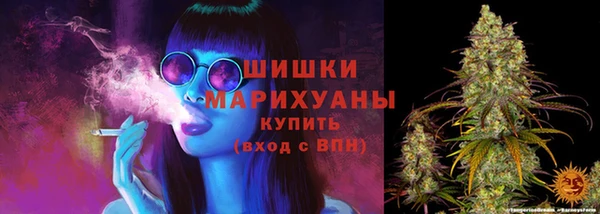 стаф Бородино