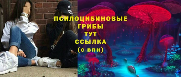 ешки Верхний Тагил