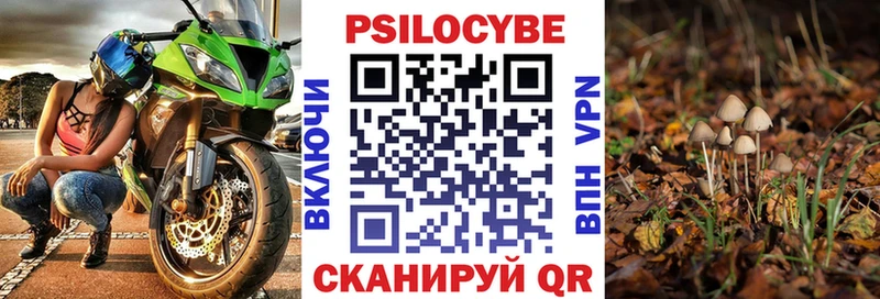 Псилоцибиновые грибы прущие грибы  Купить закладки  Томари 